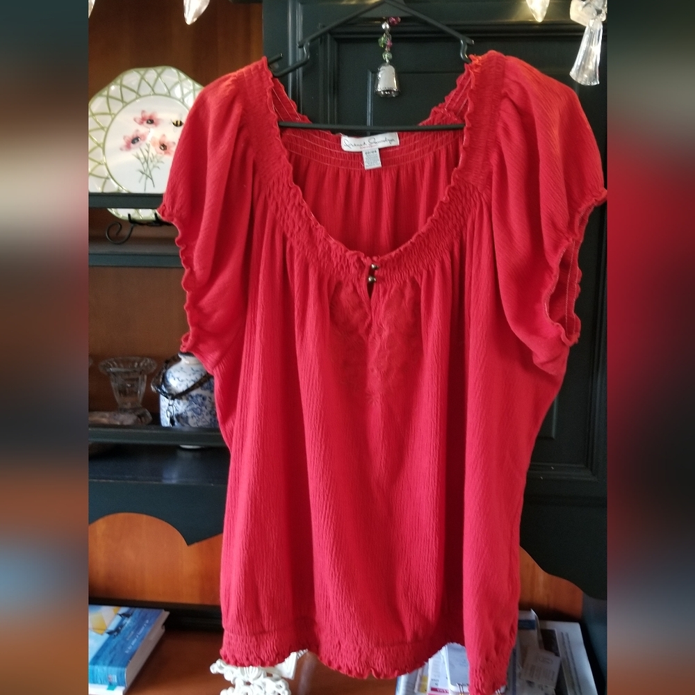 Cute peasant style plus size top Reddish orange color. Ornate stitching on yoke.